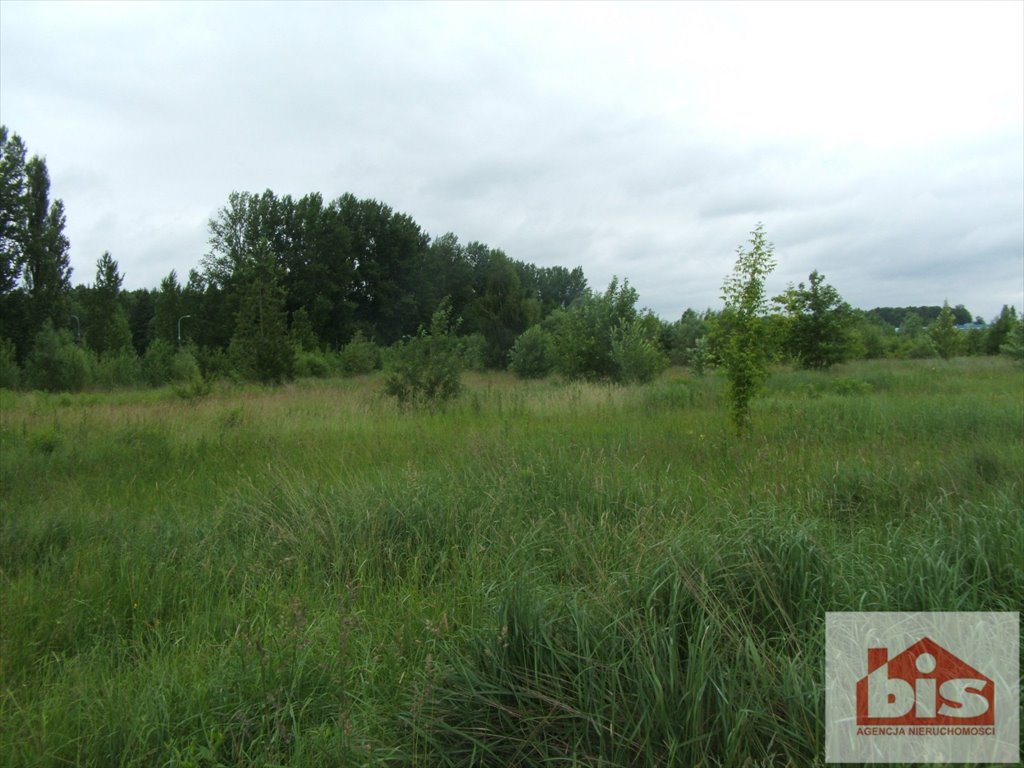 Działka rolna 27 400 m² w Ruszczanach – idealna pod inwestycję Ruszczany, Ruszczany  27 400m2 Foto 1