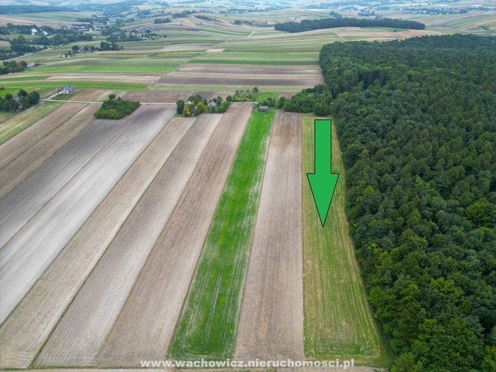 Działka budowlana na sprzedaż Nasiechowice  1 500m2 Foto 2