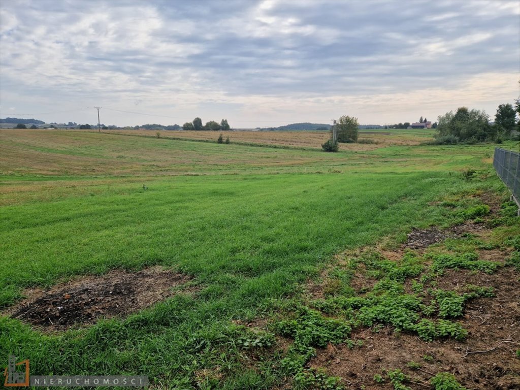 Działka budowlana na sprzedaż Wilków  785m2 Foto 4