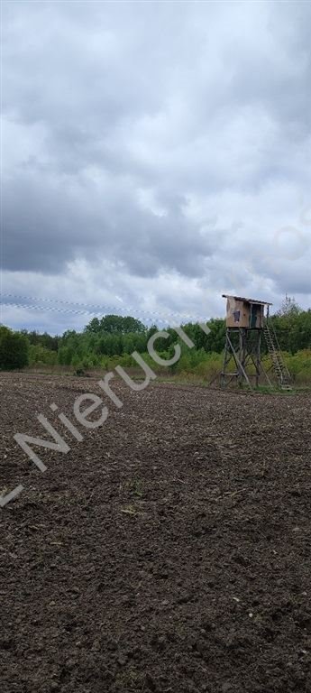 Działka budowlana na sprzedaż Radonie  39 300m2 Foto 1