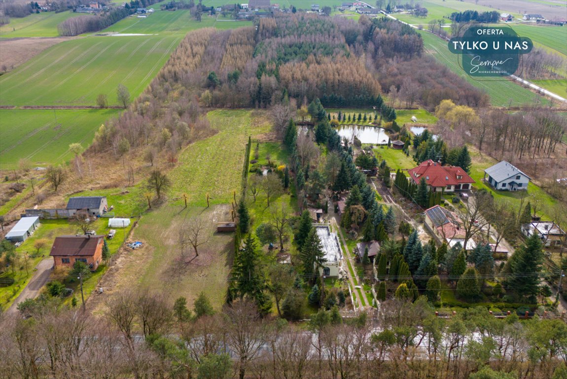 Działka budowlana na sprzedaż Paprotnia  12 600m2 Foto 11