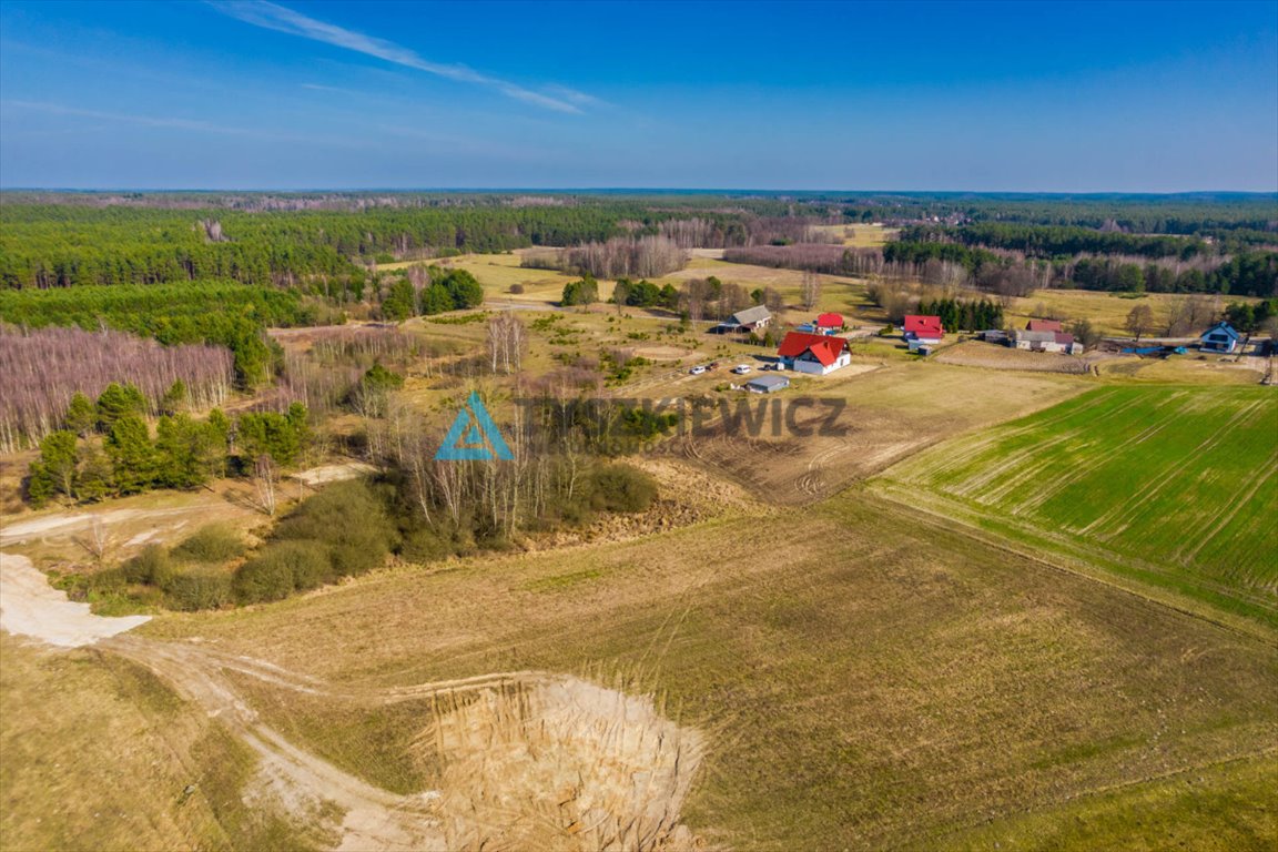 Działka rolna na sprzedaż Kurcze  6 548m2 Foto 10