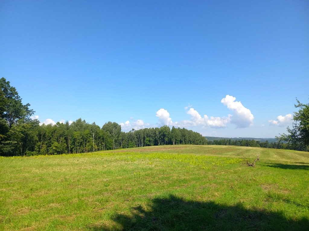 Działka budowlana na sprzedaż Lutcza  96 200m2 Foto 9