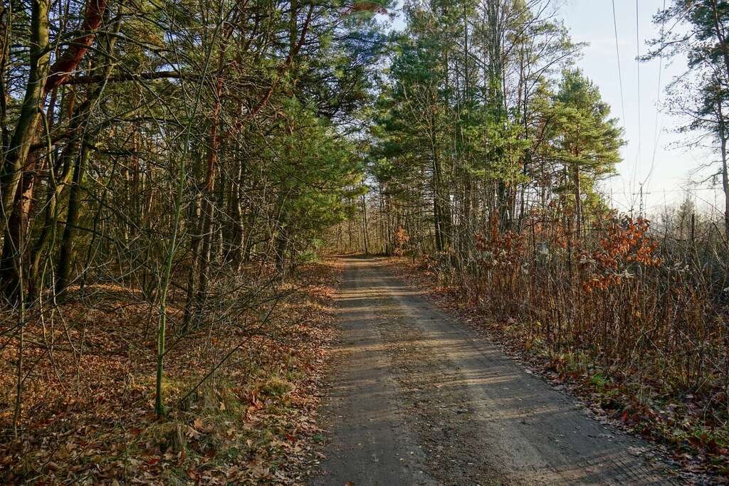 Działka inwestycyjna na sprzedaż Osiedle Wilga  42 245m2 Foto 6