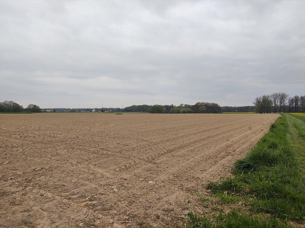 Działka pod zabudowę siedliskową w Pruchnej, 11 560 m2 Pruchna  11 560m2 Foto 1