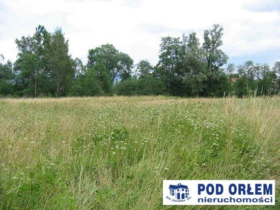 Działka rolna na sprzedaż Pietrzykowice 3 943m2 Foto 1 Działka rolna na sprzedaż Pietrzykowice 3 943m2 Foto 1