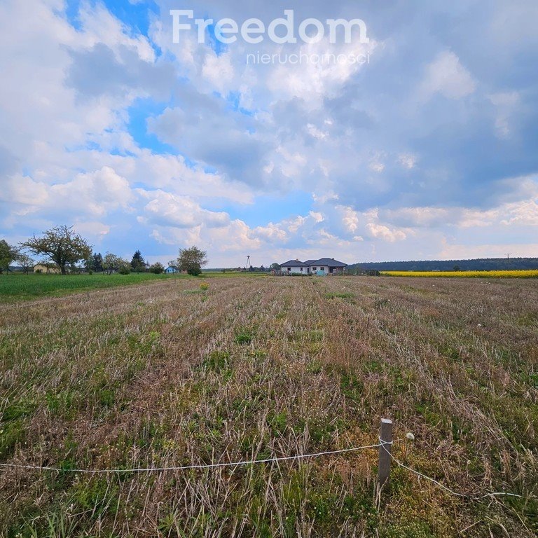 Działka inna na sprzedaż Wólka Bałtowska-Kolonia  930m2 Foto 3