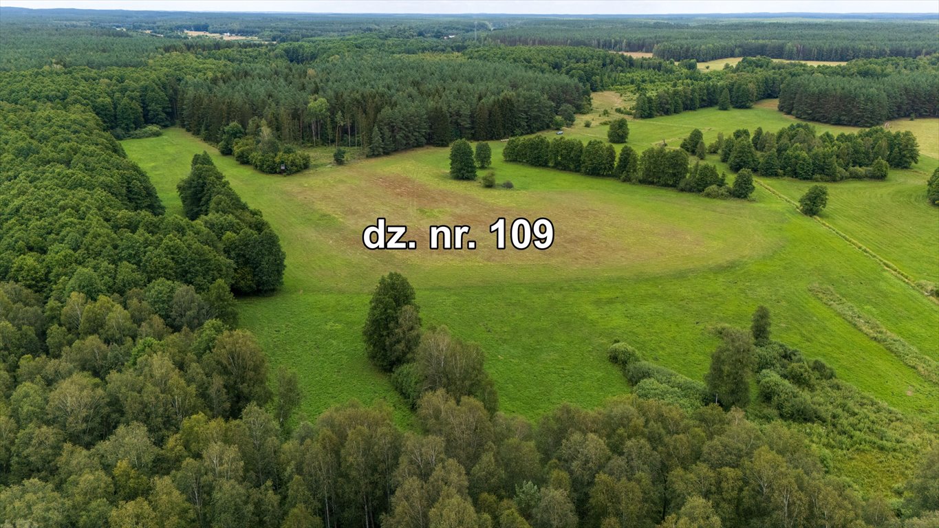 Działka rolna na sprzedaż Rekownica  120 300m2 Foto 7