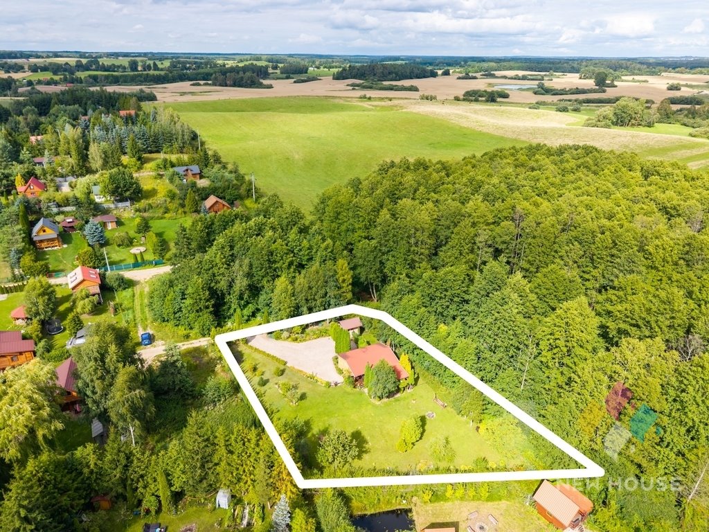 Zdjęcie 3