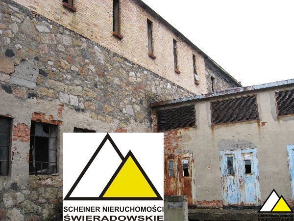Atrakcyjny teren 3000 m² z halami, adaptacja pod działalność Orłowice, obrzeża Świeradowa  3 000m2 Foto 1