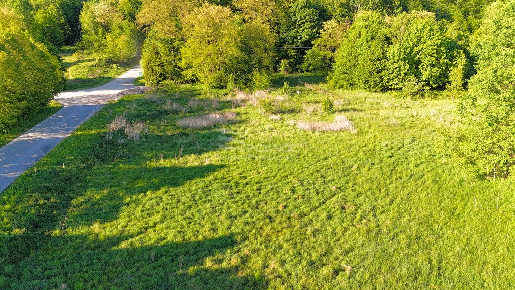 Działka inwestycyjna na sprzedaż Grabnik  25 600m2 Foto 5