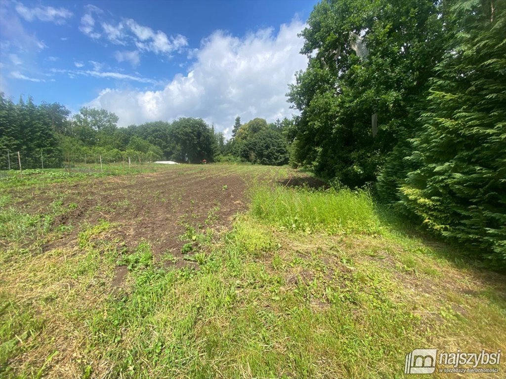 Działka budowlana 1003 m² z warunkami zabudowy, blisko Nowogardu Nowogard, obrzeża  1 003m2 Foto 1