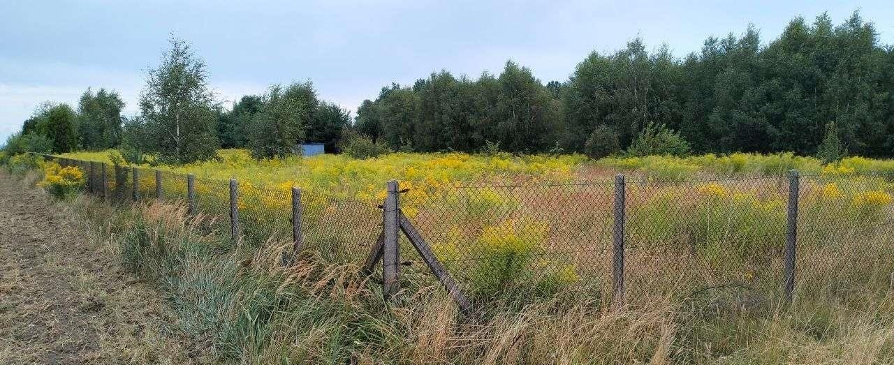 Działka budowlana na sprzedaż Mzyki  8 396m2 Foto 1