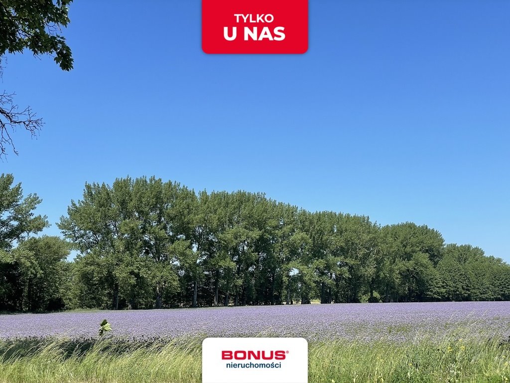 Działka pod zabudowę 900m od jeziora Morzycko - polecam! Moryń  1 136m2 Foto 1