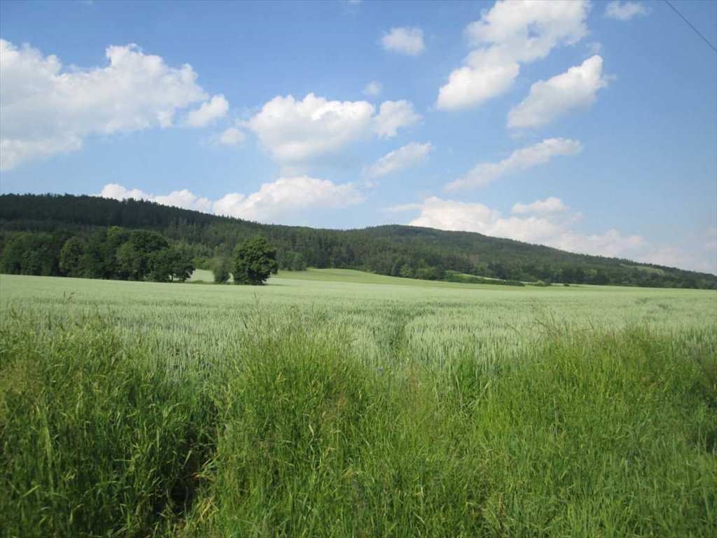 Działka inna na sprzedaż Dzierżoniów  4 700m2 Foto 2