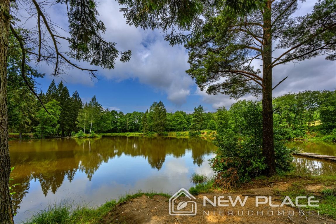 Działka budowlana na sprzedaż Szczytna  1 001m2 Foto 3