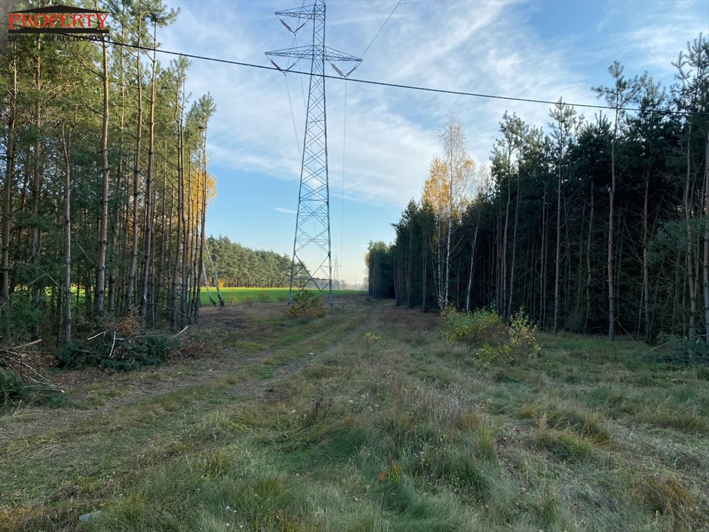 Działka leśna na sprzedaż Barłogi, BARŁOGI  11 400m2 Foto 8