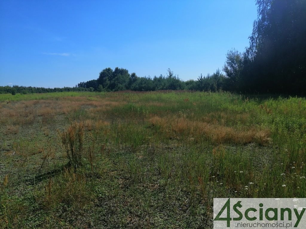 Działka budowlana na sprzedaż Grobice  1 901m2 Foto 9