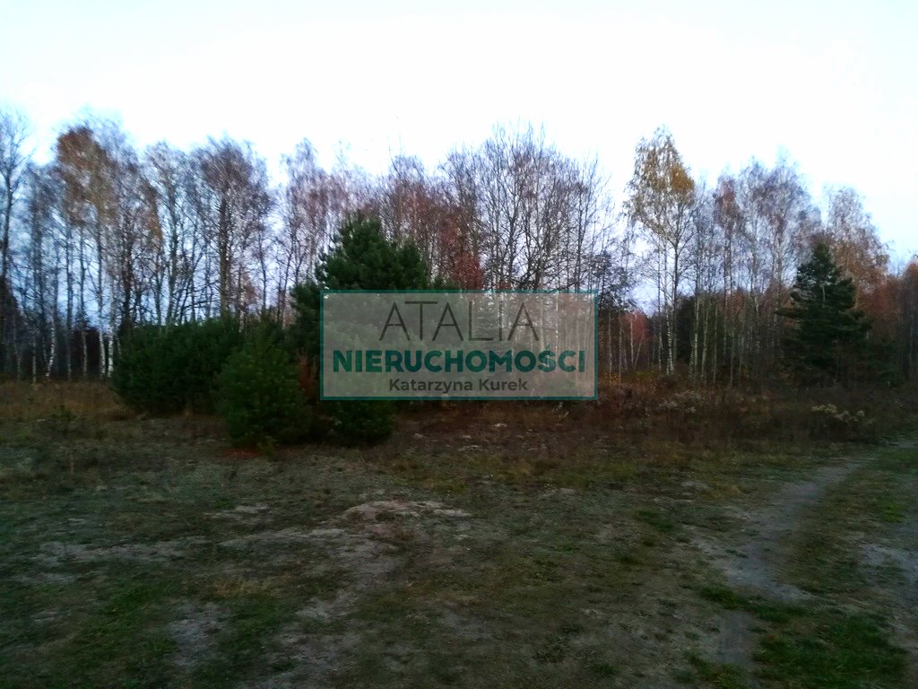 Działka budowlana 2357 m² w Szczęsnem - MPZP las rekreacja Szczęsne  2 350m2 Foto 1