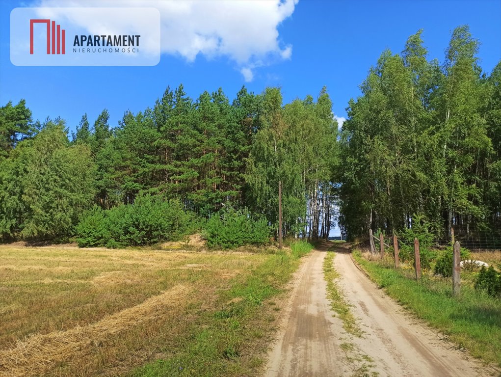 Działka budowlana na sprzedaż Miedzno  3 000m2 Foto 5