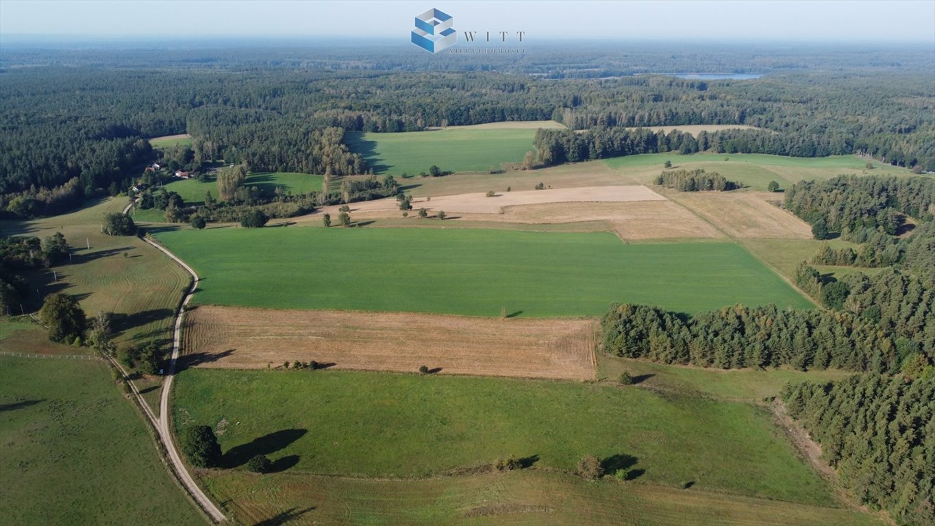 Działka budowlana na sprzedaż Molza  3 331m2 Foto 4