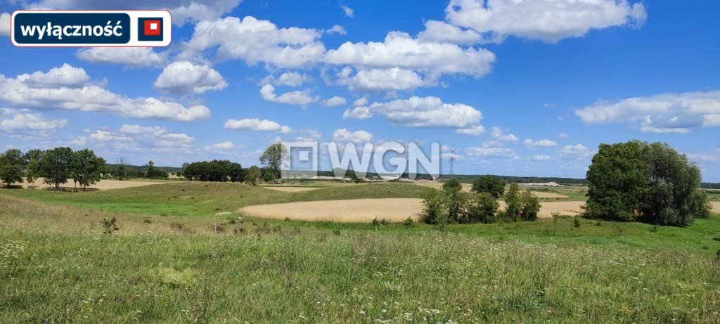 Działka inna na sprzedaż Miłusze  6 500m2 Foto 6