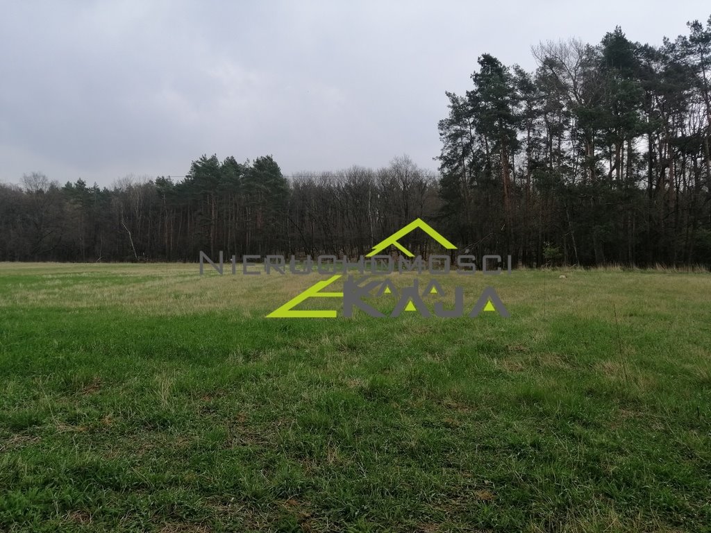 Działka budowlana na sprzedaż Grabowiec  3 008m2 Foto 14