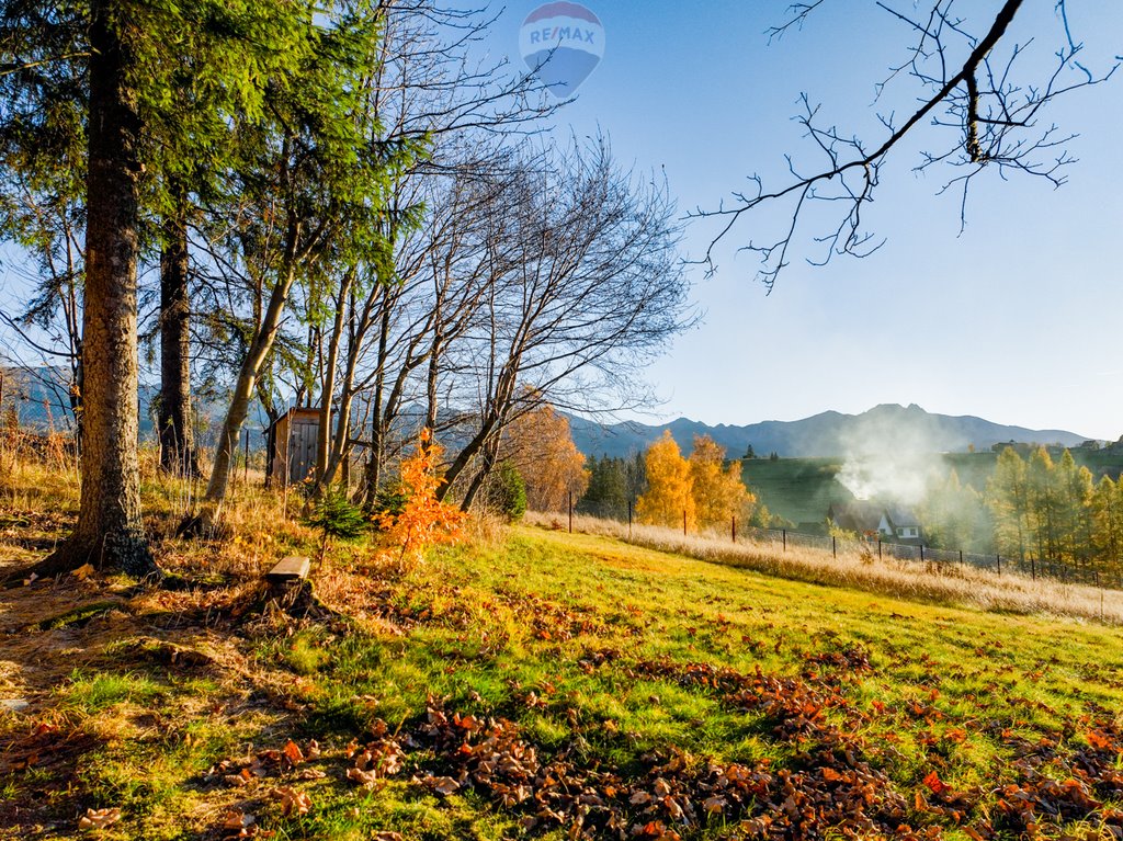 Działka rolna na sprzedaż Zakopane  2 036m2 Foto 16