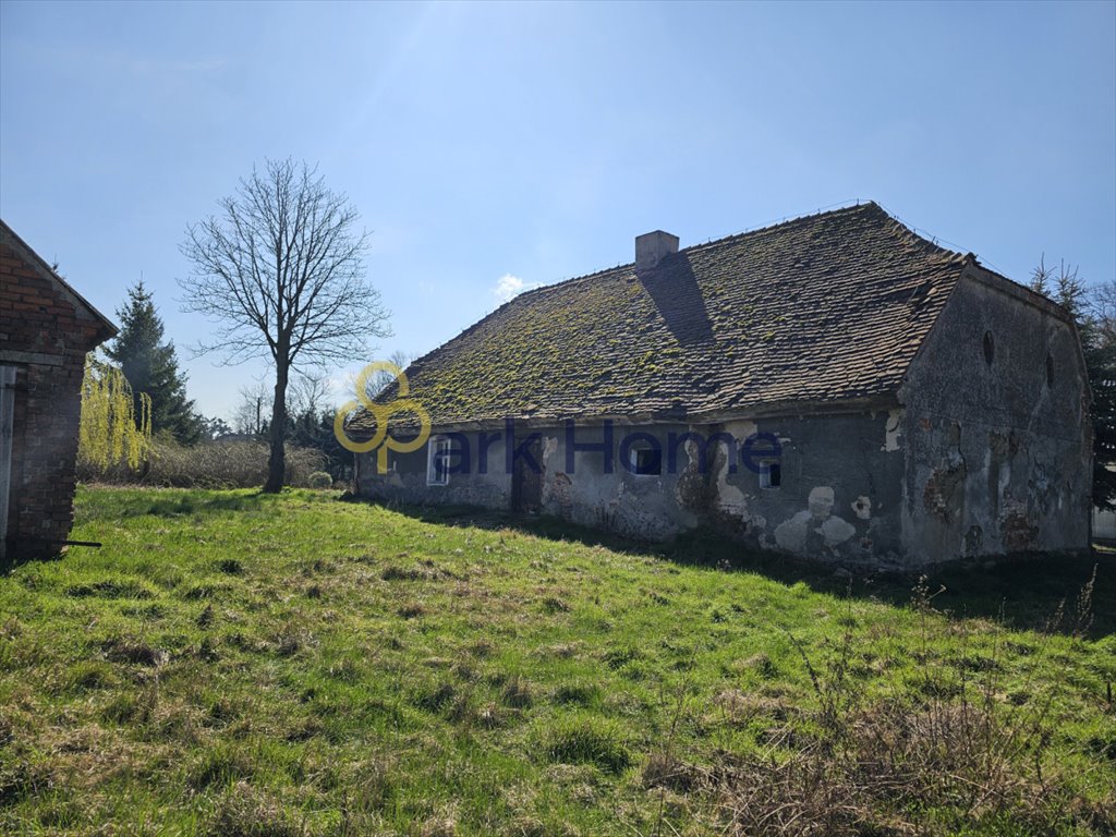 Działka budowlana na sprzedaż Śnieciska  1 090m2 Foto 5