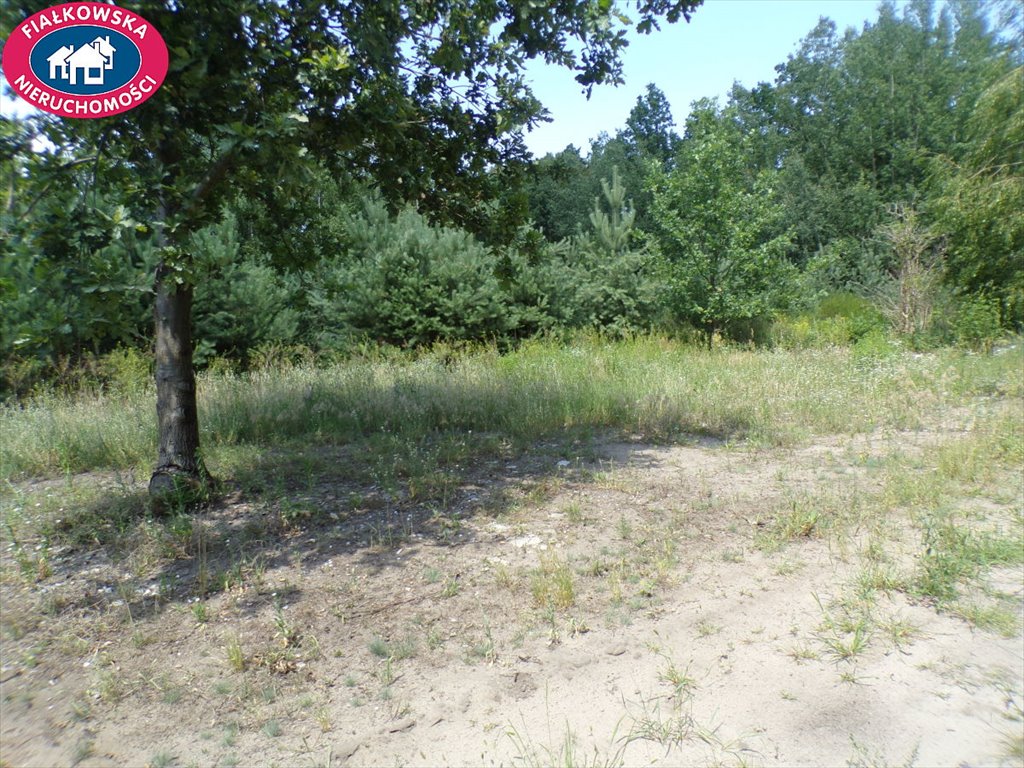 Działka rolna na sprzedaż Benenard  3 000m2 Foto 1