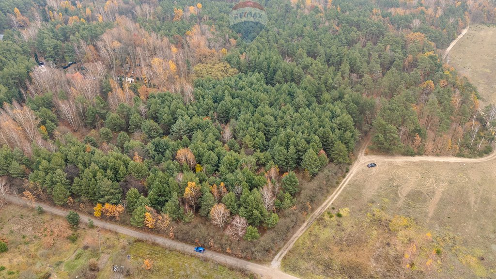 Działka budowlana na sprzedaż Siestrzeń, Nad Lasem  2 000m2 Foto 6