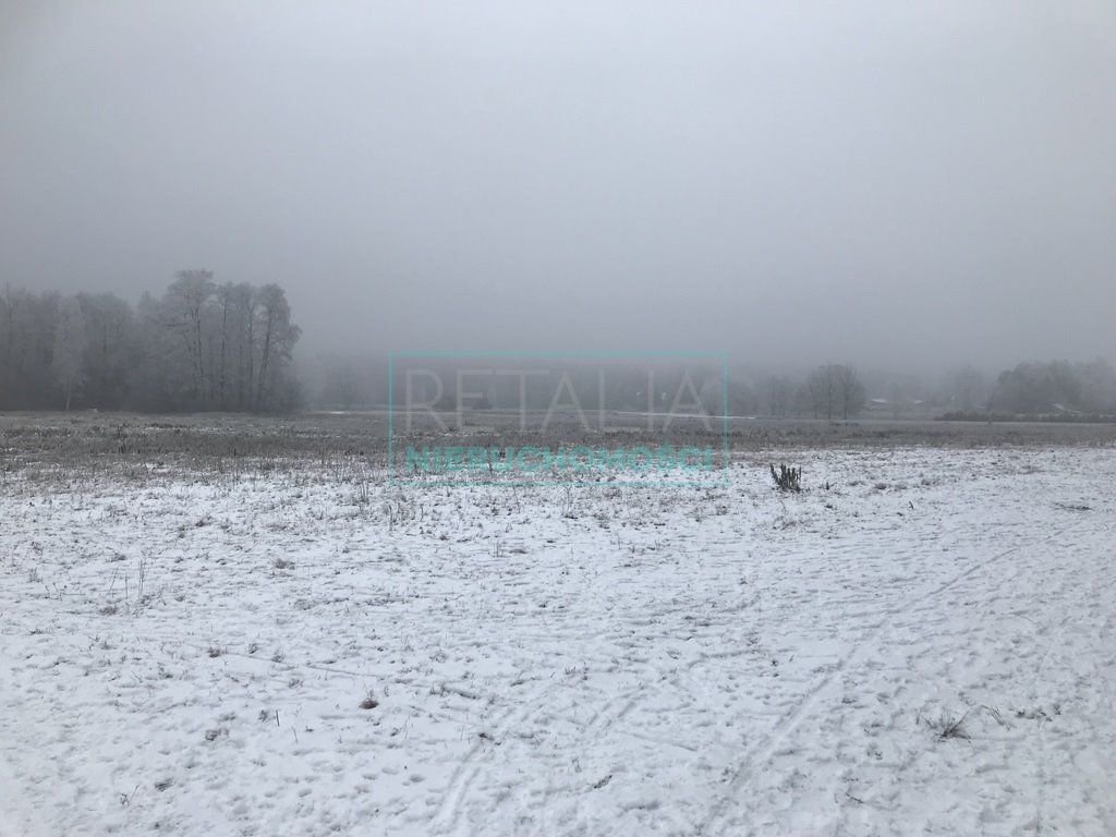 Działka budowlana na sprzedaż Stara Wieś  110 300m2 Foto 9