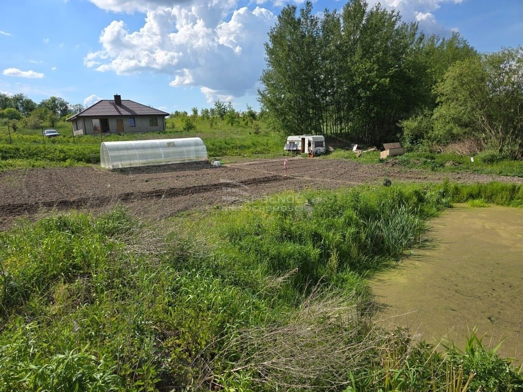 Działka budowlana na sprzedaż Patryki  1 545m2 Foto 4