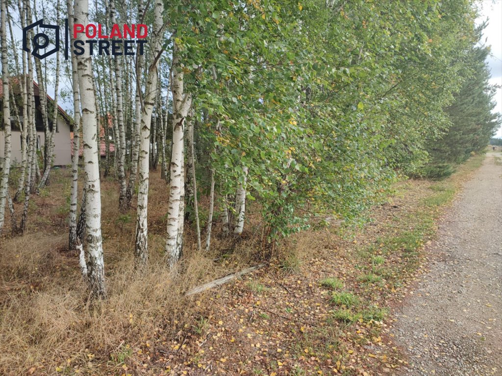 Działka budowlana na sprzedaż Łupki  2 500m2 Foto 8