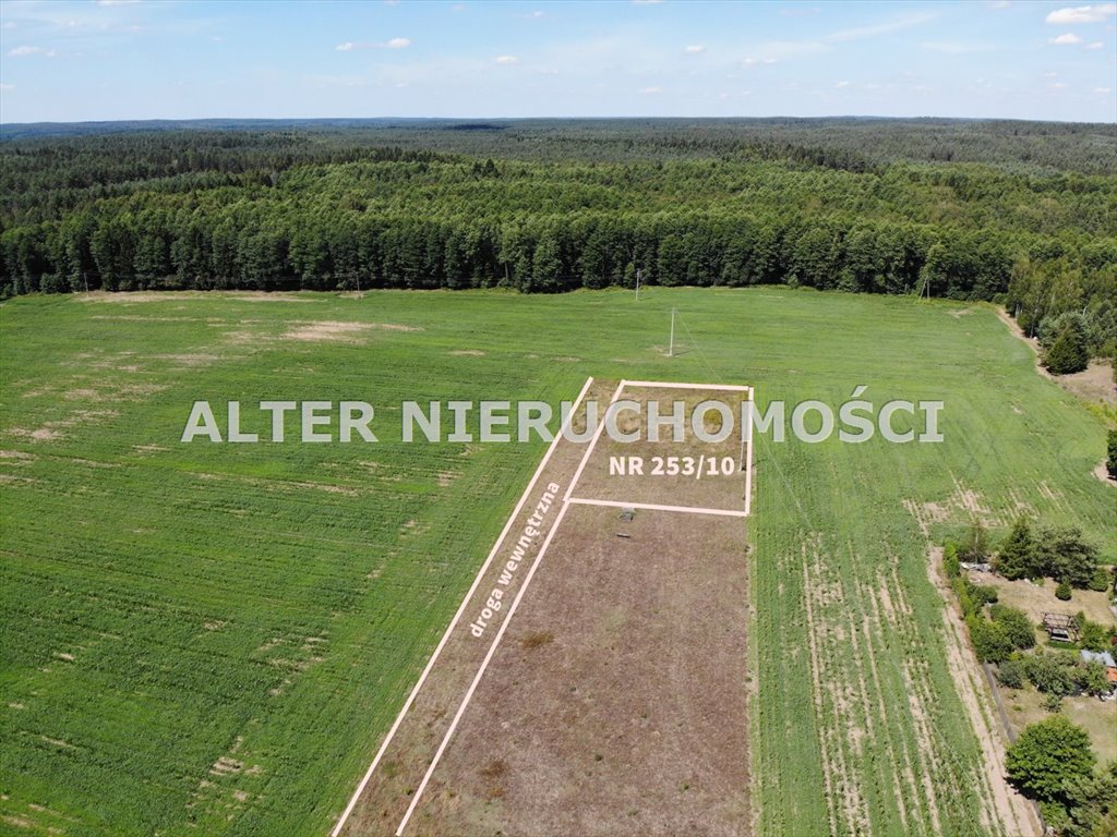 Działka 1499 m² z warunkami zabudowy w Borkach Borki  1 499m2 Foto 1