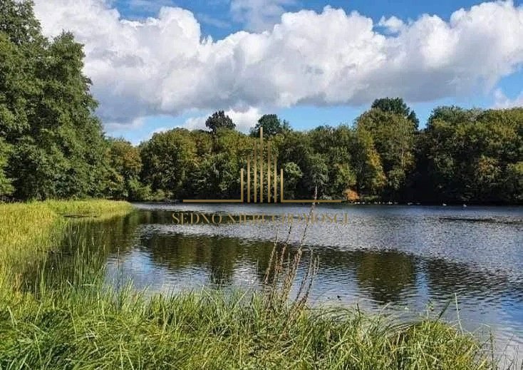 Działka inna na sprzedaż Gościeradz  3 000m2 Foto 2