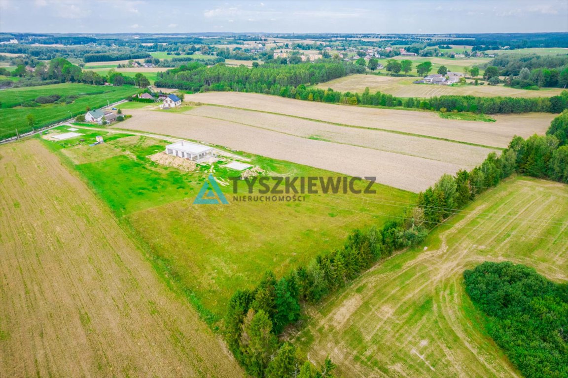 Działka budowlana na sprzedaż Głodowo  5 712m2 Foto 12