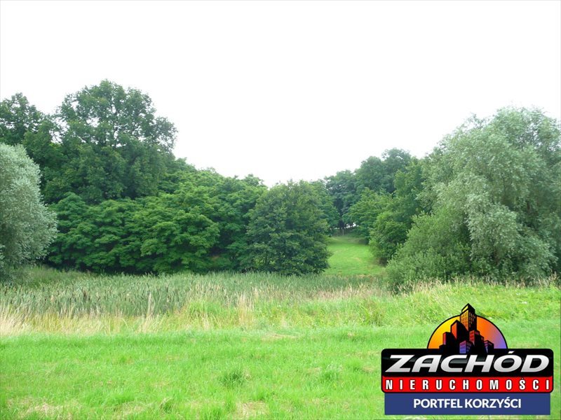 Działka budowlana na sprzedaż Przytok 22 600m2 Foto 1 Działka budowlana na sprzedaż Przytok 22 600m2 Foto 1