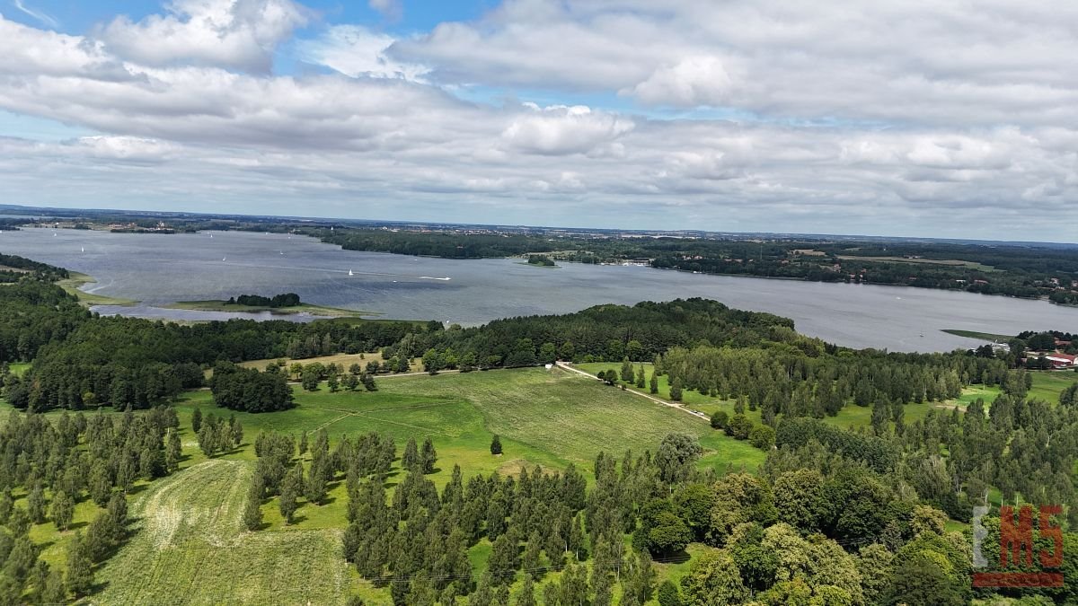 Działka inna na sprzedaż Ogonki  3 500m2 Foto 1