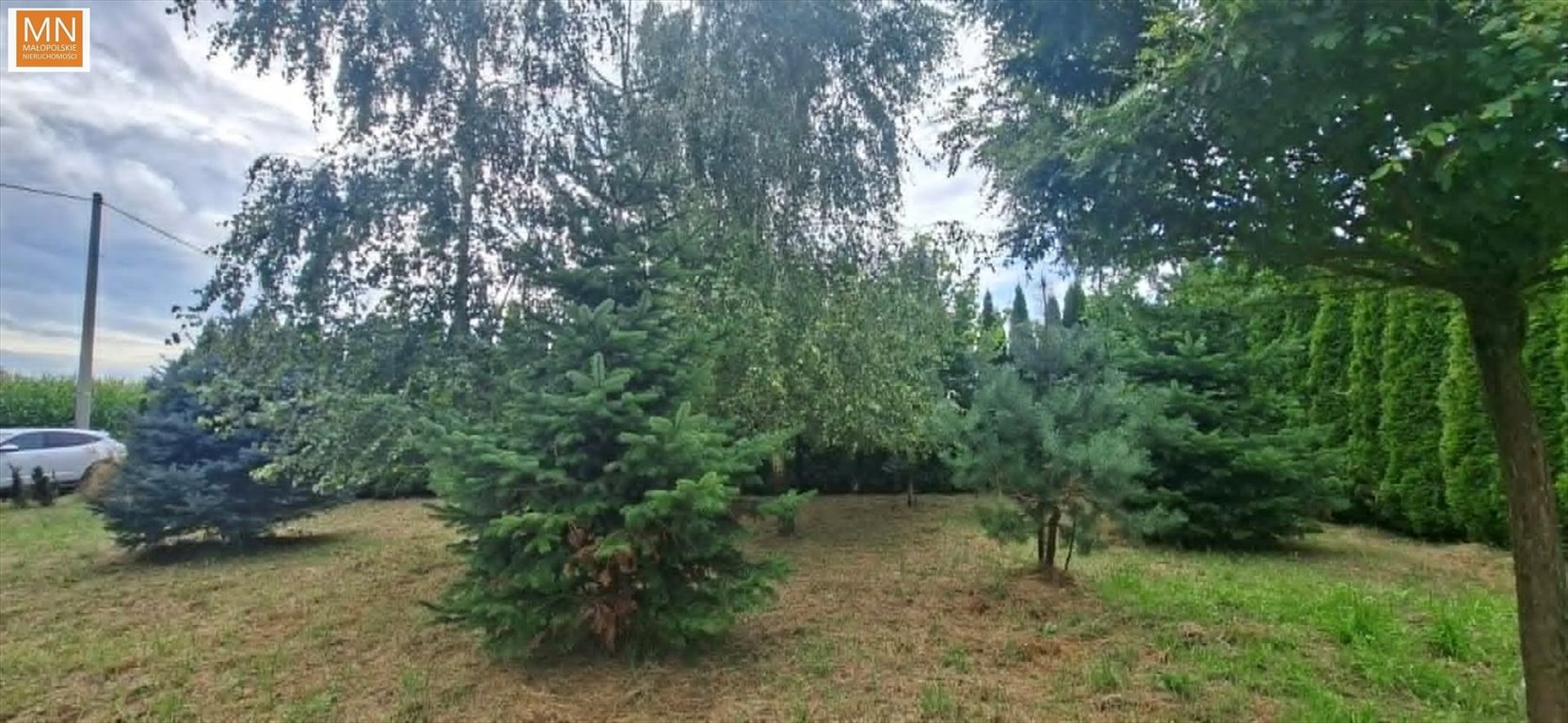 Zdjęcie 8
