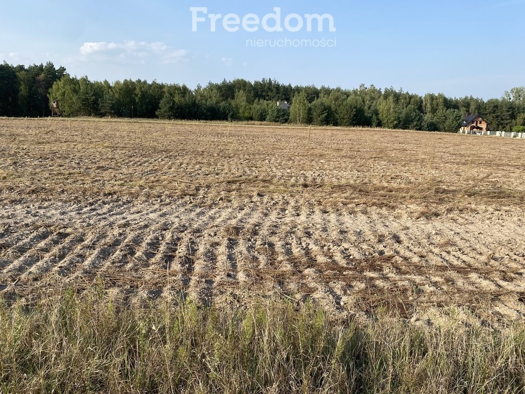 Działka rolna na sprzedaż Ciechocin  9 200m2 Foto 7