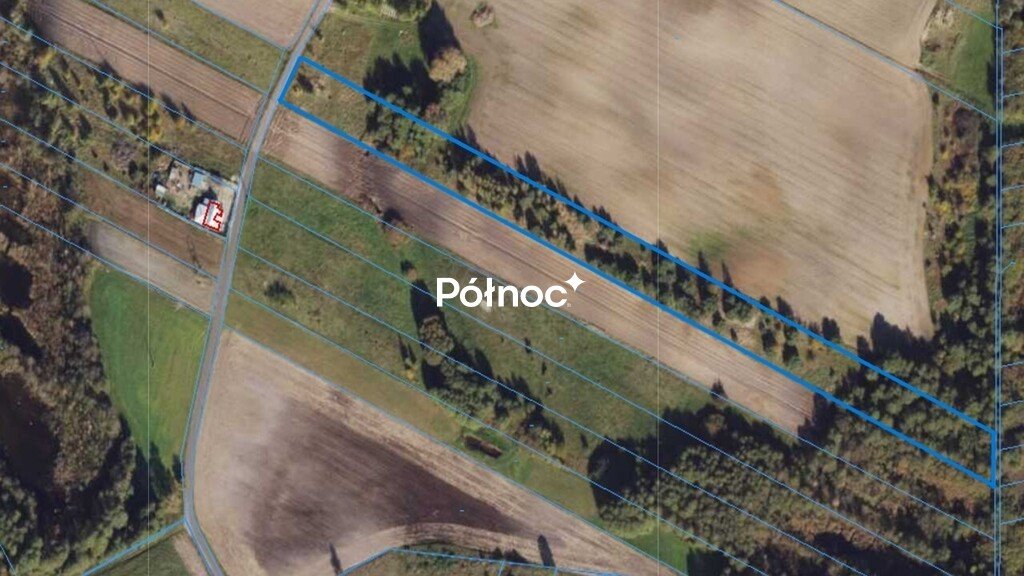 Działka rolna 9500 m² w Modzerowie – cisza i natura Modzerowo  9 500m2 Foto 1