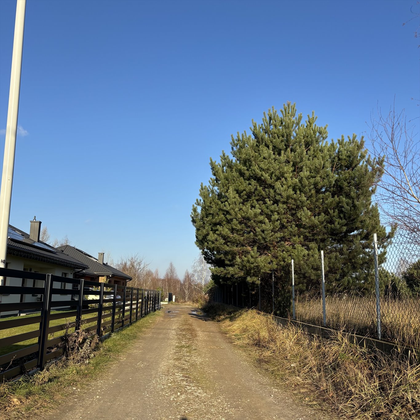 Działka budowlana na sprzedaż Borzęcin Duży, Trakt Królewski  2 000m2 Foto 3