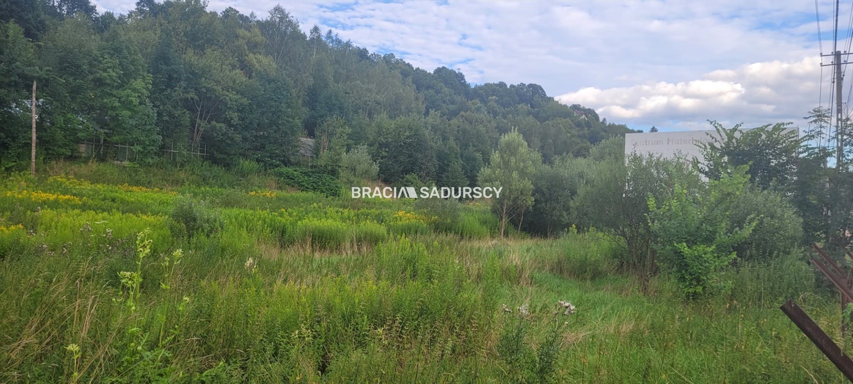 Działka budowlana na sprzedaż Nowy Sącz, Piątkowa, Lwowska  8 600m2 Foto 5