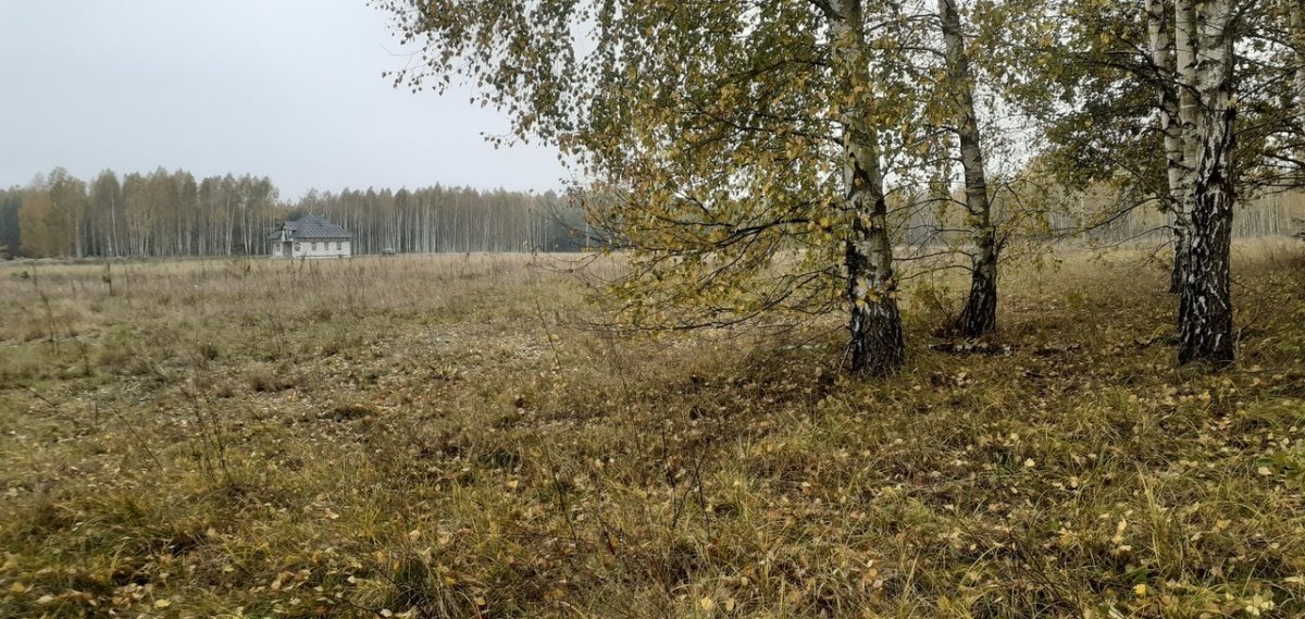 Działka budowlana na sprzedaż Pisz  1 527m2 Foto 6