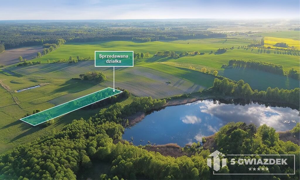 Działka budowlana na sprzedaż Dziki  6 797m2 Foto 1