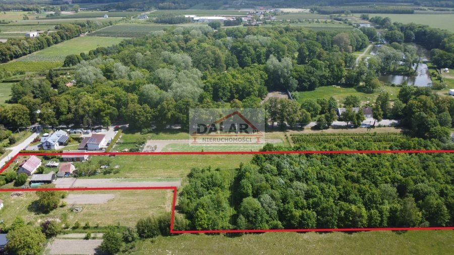 Działka budowlana na sprzedaż Osuchów, Leśna  16 515m2 Foto 1