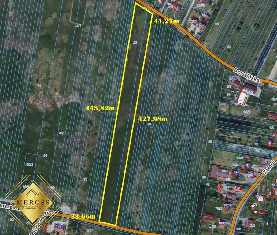 Działka rolna 15 578 m² przy głównej drodze, Błeszno Częstochowa, Błeszno  15 578m2 Foto 1