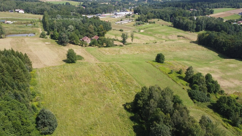 Działka budowlana na sprzedaż Lutcza  107 000m2 Foto 9