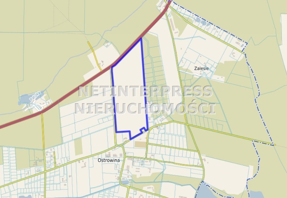 Na sprzedaż działka 173900 m² w Oleśnicy z potencjałem inwestycyjnym Oleśnica, Ostrowina  173 900m2 Foto 1